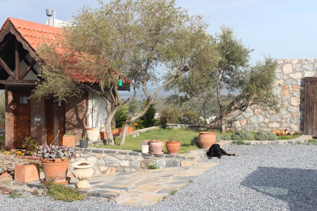 Olive Garden Retreat Hotel Milas Eksteriør billede